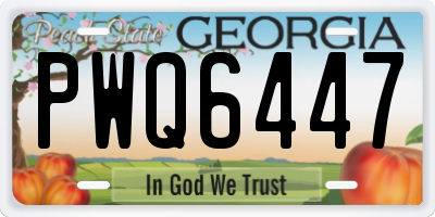 GA license plate PWQ6447