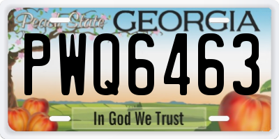 GA license plate PWQ6463