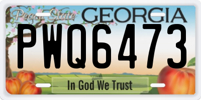 GA license plate PWQ6473