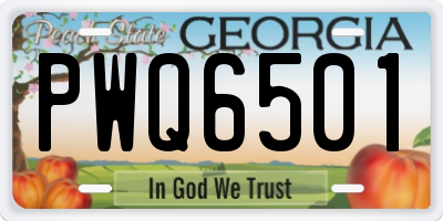 GA license plate PWQ6501