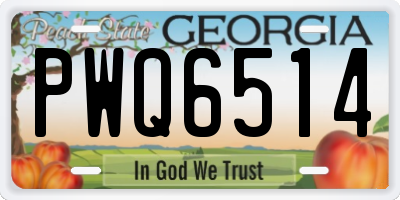 GA license plate PWQ6514