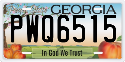 GA license plate PWQ6515