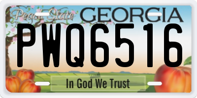 GA license plate PWQ6516