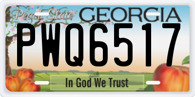 GA license plate PWQ6517