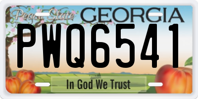 GA license plate PWQ6541