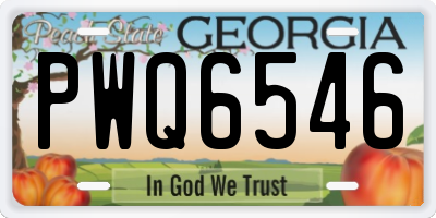 GA license plate PWQ6546
