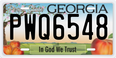 GA license plate PWQ6548