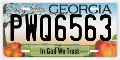GA license plate PWQ6563