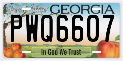 GA license plate PWQ6607