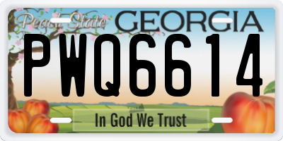 GA license plate PWQ6614