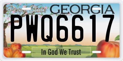 GA license plate PWQ6617