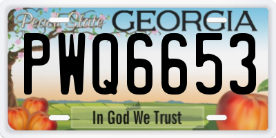 GA license plate PWQ6653