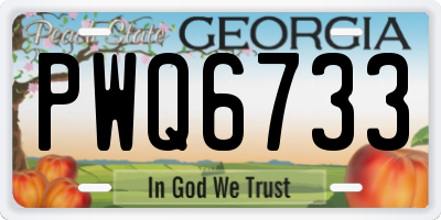 GA license plate PWQ6733