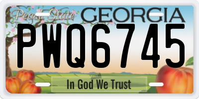 GA license plate PWQ6745