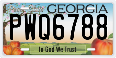 GA license plate PWQ6788