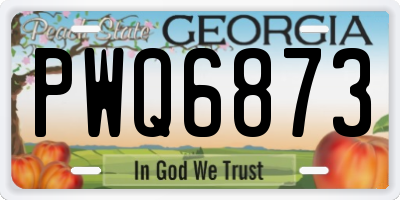 GA license plate PWQ6873