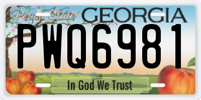 GA license plate PWQ6981