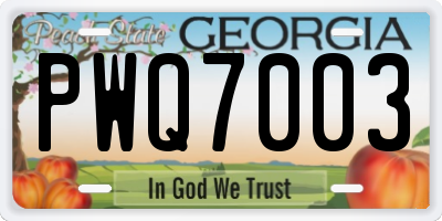 GA license plate PWQ7003