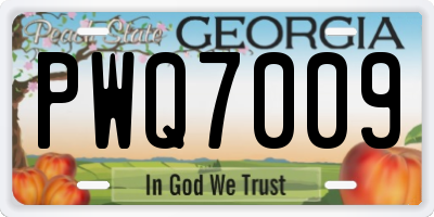 GA license plate PWQ7009