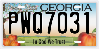 GA license plate PWQ7031