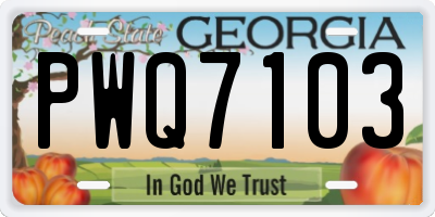GA license plate PWQ7103