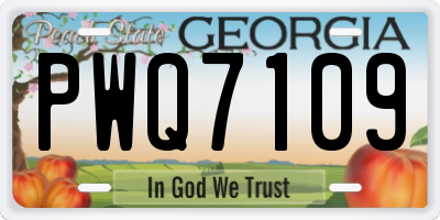 GA license plate PWQ7109