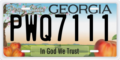 GA license plate PWQ7111