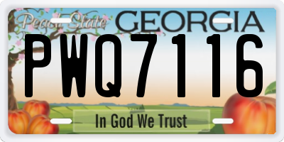 GA license plate PWQ7116