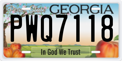 GA license plate PWQ7118
