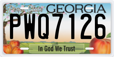 GA license plate PWQ7126