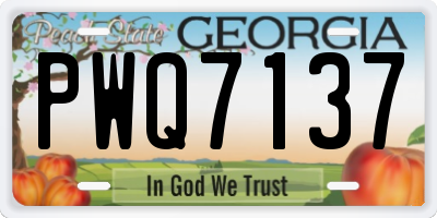 GA license plate PWQ7137