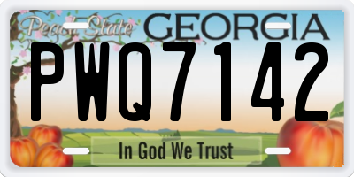 GA license plate PWQ7142
