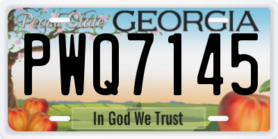 GA license plate PWQ7145