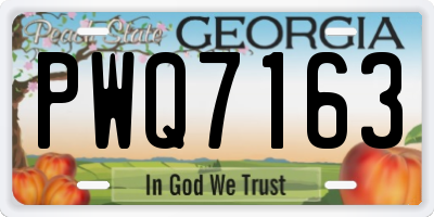 GA license plate PWQ7163