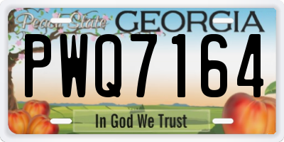 GA license plate PWQ7164