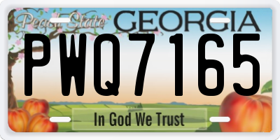 GA license plate PWQ7165