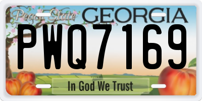 GA license plate PWQ7169
