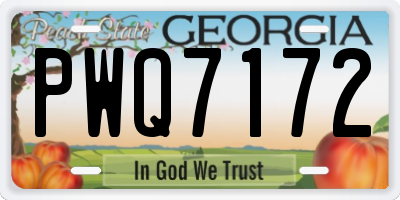 GA license plate PWQ7172