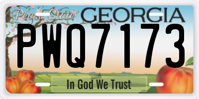 GA license plate PWQ7173