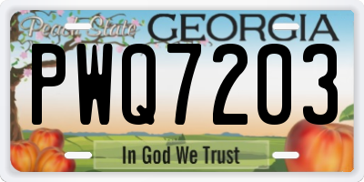 GA license plate PWQ7203