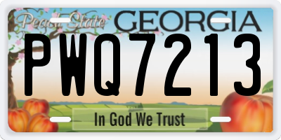 GA license plate PWQ7213