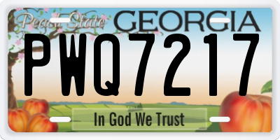 GA license plate PWQ7217