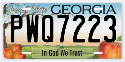 GA license plate PWQ7223