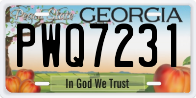 GA license plate PWQ7231