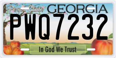 GA license plate PWQ7232