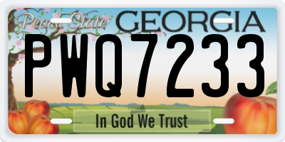 GA license plate PWQ7233