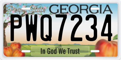 GA license plate PWQ7234