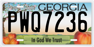 GA license plate PWQ7236