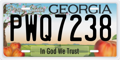 GA license plate PWQ7238