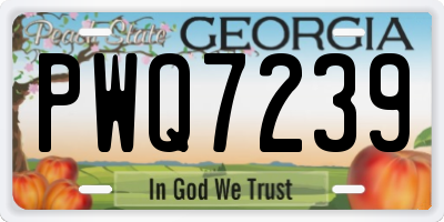GA license plate PWQ7239